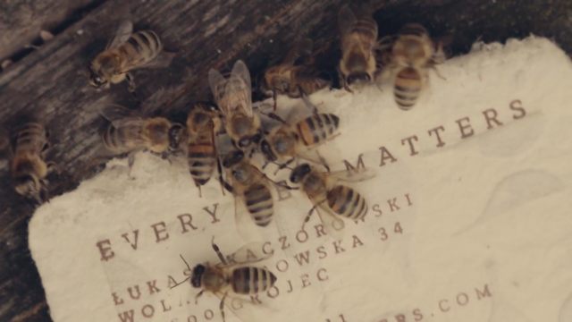 Bee Saving Paper: กระดาษอนุรักษ์ผึ้ง ช่วยต่อชีวิตผึ้ง ต่อลมหายใจมนุษย์โลก