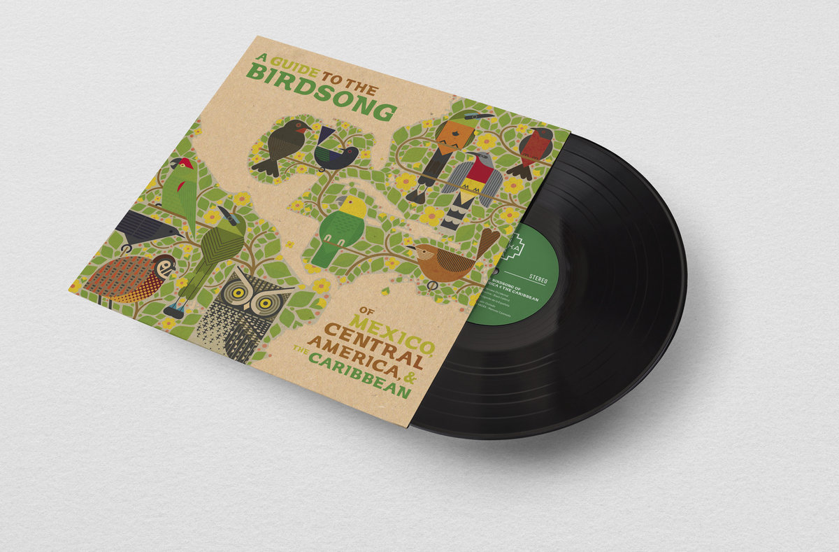 Read more about the article A Guide to the Birdsong of Mexico, Central America and the Caribbean ผลงานดนตรีอิเล็กทรอนิกส์ผสานเสียงนกใกล้สูญพันธุ์เพื่อการอนุรักษ์