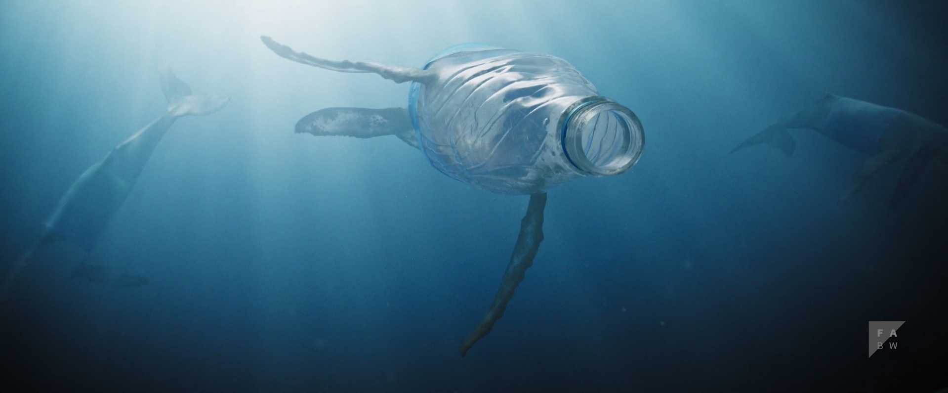 Read more about the article The Beauty : แอนิเมชันสั้นช็อคทุกสายตากับการกลายพันธุ์ครั้งใหม่ของสัตว์ใต้ท้องทะเล